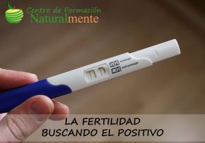 Fertilidad-buscando-el-positivo-1030x717