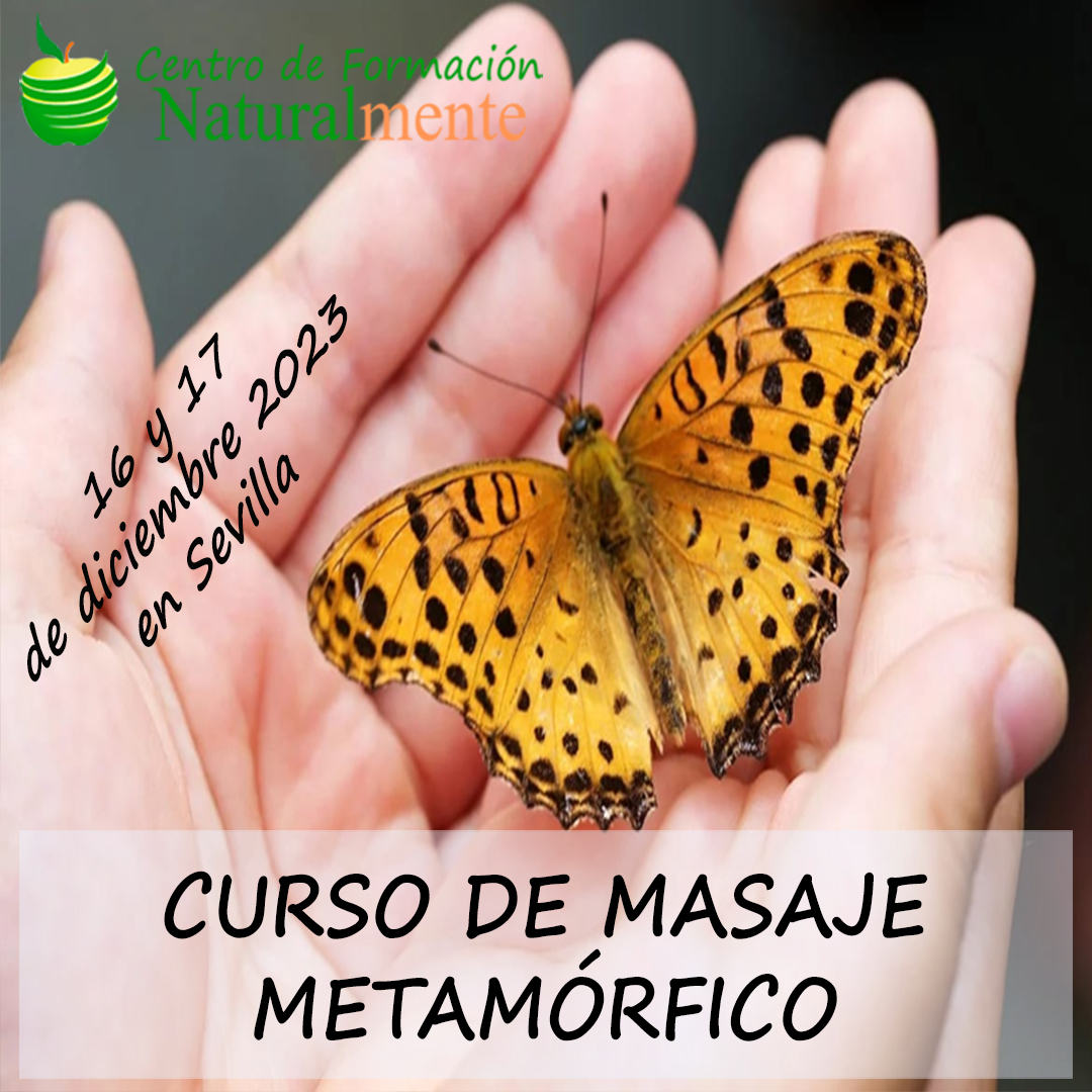 Curso de masaje metamórfico en Sevilla