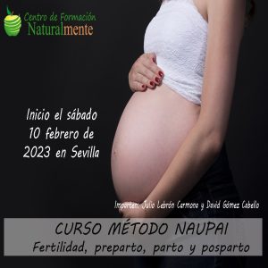 Curso de Método Naupai en Sevilla