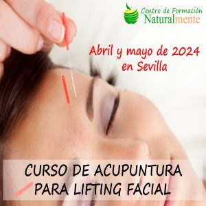 Curso de Lifting con acupuntura en Sevilla