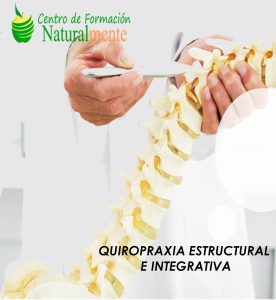 Curso de Quiropraxia new